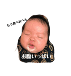 せいとボン（個別スタンプ：12）
