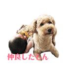 せいとボン（個別スタンプ：15）