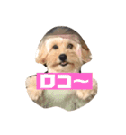 オリーブ最高（個別スタンプ：2）