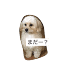 オリーブ最高（個別スタンプ：6）
