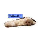 オリーブ最高（個別スタンプ：10）