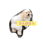 オリーブ最高（個別スタンプ：12）