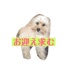 オリーブ最高（個別スタンプ：13）