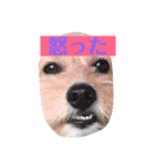 オリーブ最高（個別スタンプ：14）
