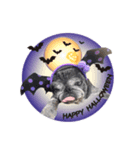 No pug Np life (ハロウィン バージョン)（個別スタンプ：1）