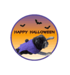 No pug Np life (ハロウィン バージョン)（個別スタンプ：5）