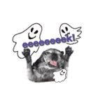 No pug Np life (ハロウィン バージョン)（個別スタンプ：7）