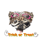No pug Np life (ハロウィン バージョン)（個別スタンプ：8）