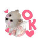 仔犬のるるちゃん（個別スタンプ：4）