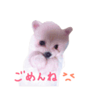 仔犬のるるちゃん（個別スタンプ：9）