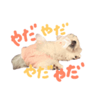 仔犬のるるちゃん（個別スタンプ：15）