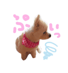 仔犬のるるちゃん（個別スタンプ：16）