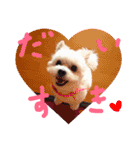 仔犬のるるちゃん（個別スタンプ：18）