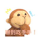 猿 タンタン 2 ー 楽しい友達と（個別スタンプ：24）