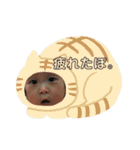 仁衣加どん4（個別スタンプ：6）