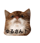 きららの毎日つかえるスタンプ（個別スタンプ：14）
