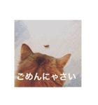きららの毎日つかえるスタンプ（個別スタンプ：17）