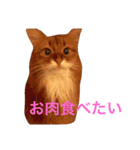 きららの毎日つかえるスタンプ（個別スタンプ：30）