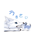 まるっこおおかみ（個別スタンプ：36）