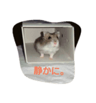 動物達、（個別スタンプ：2）