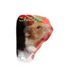 動物達、（個別スタンプ：4）