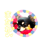 みゅうとリン 2（個別スタンプ：6）