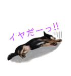 みゅうとリン 2（個別スタンプ：12）