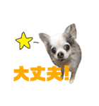 みゅうとリン 2（個別スタンプ：13）