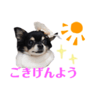 みゅうとリン 2（個別スタンプ：14）