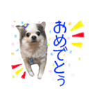 みゅうとリン 2（個別スタンプ：17）