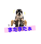 みゅうとリン 2（個別スタンプ：19）