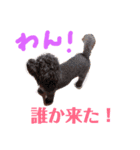 えりななまり3（個別スタンプ：7）