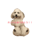 みろまる（個別スタンプ：4）