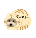 みろまる（個別スタンプ：7）