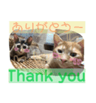 我が家のケモノ達 2nd（個別スタンプ：2）