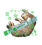 我が家のケモノ達 2nd（個別スタンプ：7）