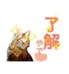 我が家のケモノ達 2nd（個別スタンプ：9）