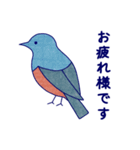 Japanese Blue Bird（個別スタンプ：1）