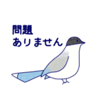 Japanese Blue Bird（個別スタンプ：9）