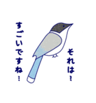 Japanese Blue Bird（個別スタンプ：10）