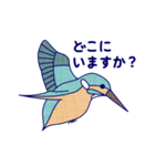 Japanese Blue Bird（個別スタンプ：19）