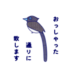 Japanese Blue Bird（個別スタンプ：28）