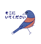 Japanese Blue Bird（個別スタンプ：34）