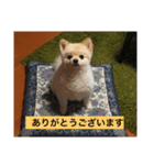 勘助（個別スタンプ：1）