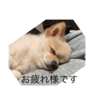 勘助（個別スタンプ：3）