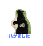 ジジとモモ（個別スタンプ：2）