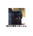 ジジとモモ（個別スタンプ：3）