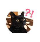 ジジとモモ（個別スタンプ：4）