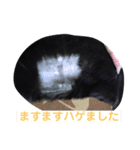 ジジとモモ（個別スタンプ：5）