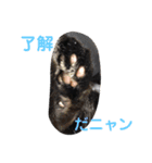ジジとモモ（個別スタンプ：6）